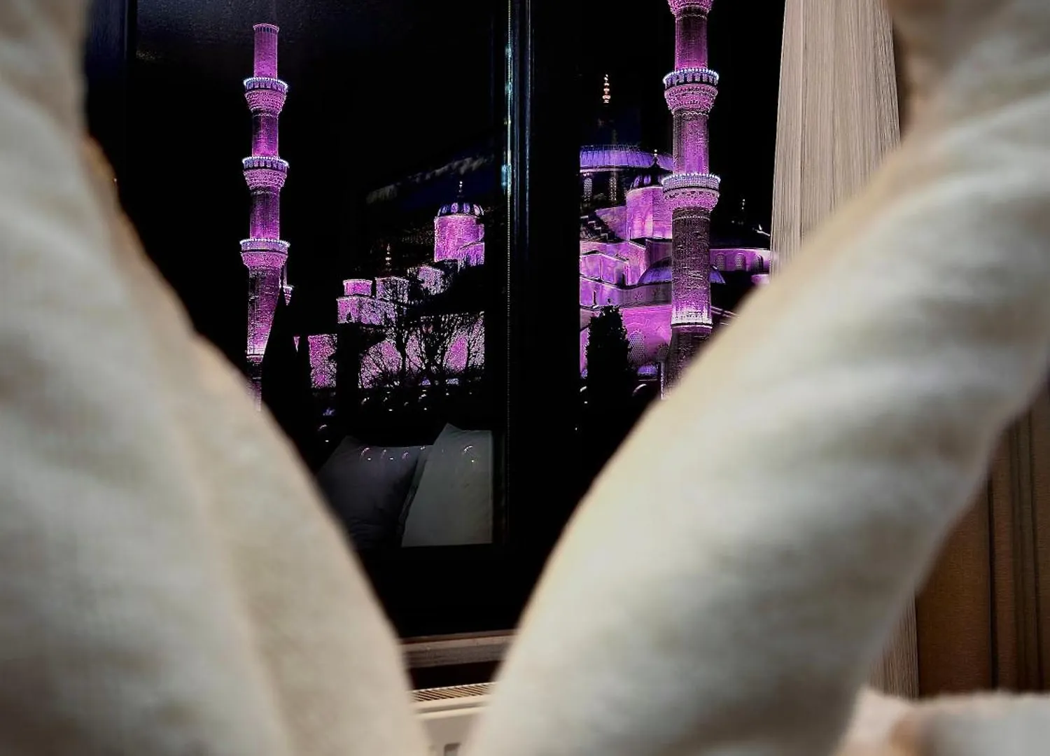 Cetinluxuryhome Istanbul